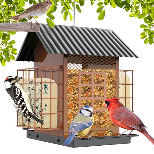 FlowaFoli Bird Feeders for Outdoors Hanging, Metal Bird Feeder with Double Suet Cage Cake, Large Capacity, Birdfeeders Sturdy & Weatherproof, Easy to Clean & Refill, Great for Attracting Wild Birds - color: Brown