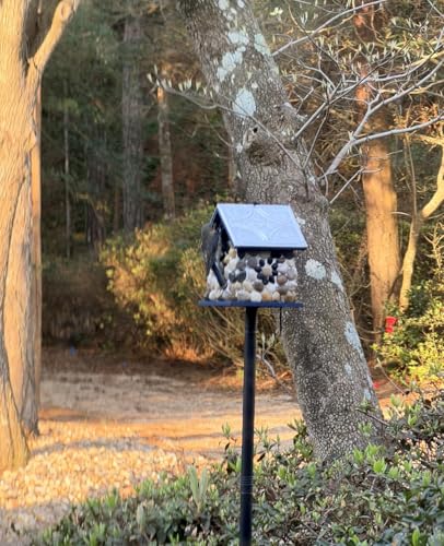 Premium River Pebble Bluebird House – Cedar Wood Outdoor Birdhouse with Embedded Metal Roof, Weather-Resistant Garden Nest Box for Wild Birds, Hanging & Pole Mountable (Yellow) - color: River Pebble Yellow