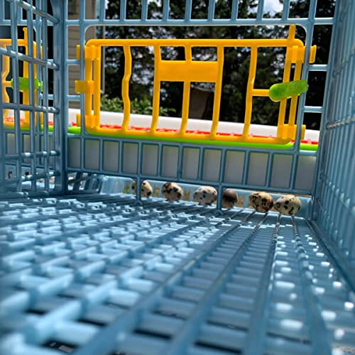 Cimuka Quail Breeding Cage Indoor – 2 Layer Stackable Quail Pens & Coops | 38.6" x 24" x 35.8" Easy Clean, Rust-Free, Plastic Breeder System with Removable Walls & Egg Collection Trays - style: Traditional