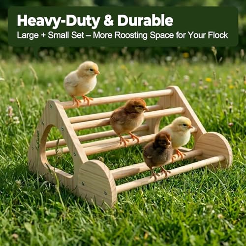 Chicken Perch 2-Pack, Heavy Duty Roosting Bars for Chickens in Coop, Large & Small Combo Set for Different Breeds, Non-Toxic Smooth Wooden Chick Perch for Poultry Resting
