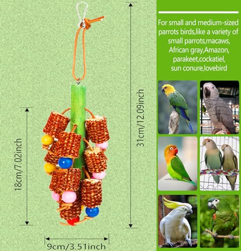 Bird Chew Toys, Natural Corn Cob Parrot Toys for Small/Medium Birds | Natural Corn Cob, Bird-Safe Dyes, Can Hung Inside the Cage, Promotes Beak Health, For Cockatiels, Conures, Lovebirds & More