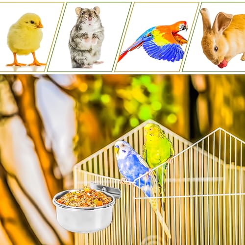 2 Pack Bird Feeding Bowls Cups Parrot Food Water Dishes, Stainless Steel Bird Bowl Cup Dish with Clamp, Birdcage Feeder Pet Cage Bowls for Cockatiel Budgie Conure Macaw Parakeet Small Animal - size: 2 Pack