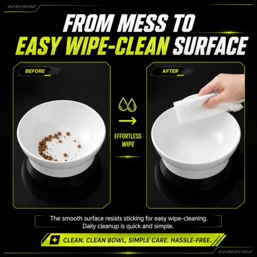 Raised Cat Bowl, 15° Tilted, 4.5 in High, White | 15° tilted shallow melamine bowl on a 4.5 in raised stand supports comfortable feeding and reduces whisker contact. - color: White