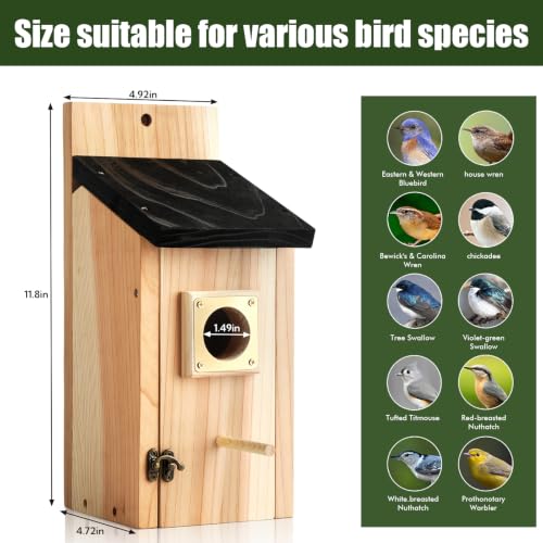 2 Pack Bird Houses for Outside - Cedar Bird House with Metal Predator Guard & Perch, Outdoor Bluebird Nesting Box for Wren Finch Swallow Chickadee, Weather Resistant (Brass) - color: brass
