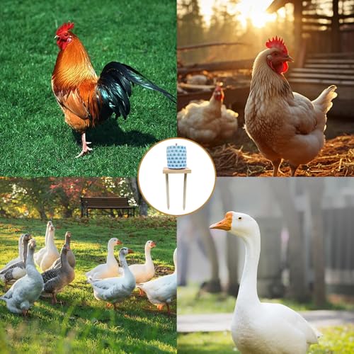 Chicken Coop Accessories, Beak Grinding Calcium Stone with Woodem Stake, Chicken Enrichment Toys, Chicken Coop Toys for Hens, Ducks, Geese, Turkeys, Poultry - color: Blue