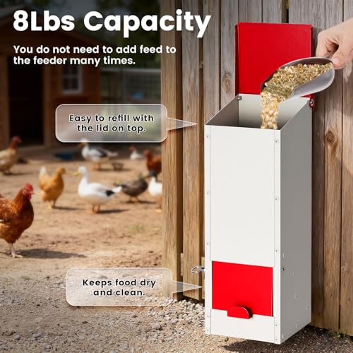 8Lbs Metal Chicken Feeder with Lockable Feed Door | Quail Feeders No Waste, Wall Mounted Poultry Feeder, Gravity Fed, Galvanized Steel Material, for Chicken Coop