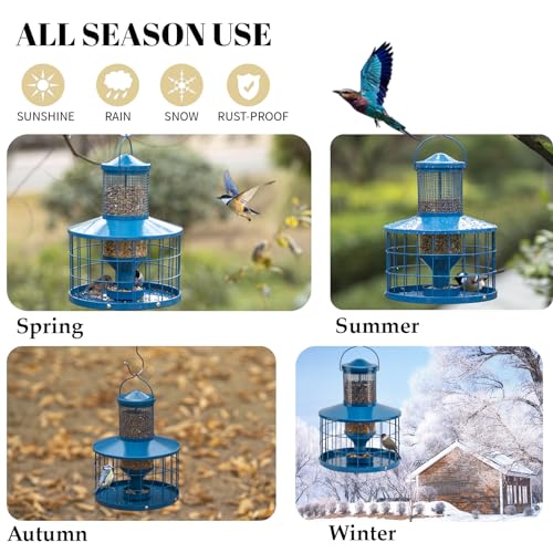 Caged Bird Feeders Squirrel-Proof, Metal, 2.8 Lbs Capacity-Cage Tube Seed Feeders with Tray Outdoor Hanging, Attract Birds,Detachable Cleaning, Starling Proof Wild Bird Feeder（Blue） - color: Blue