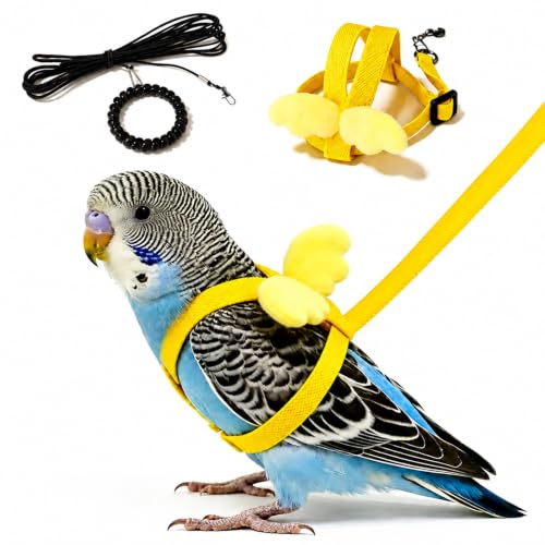 Pet Parrot Bird Harness and Leash, 2m Adjustable Polyester Rope with Cute Wing, Bird Flying Harness for Parrots, Pigeons, Budgerigars, Lovebirds, Cockatiels Outdoor Use - color: Yellow, size: L