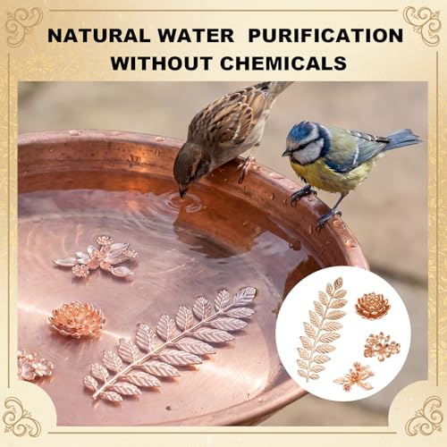 4 Pcs Mini Bird Bath Copper Ornaments Bird Bath Purification Disk Birdbath Cleaner Single 1 oz Weight Universal Fit for Outdoor Birdbaths, Bowl (Bouquet, Lotus,Triple Blossom, Laurel Leaf) - style: Bouquet, Lotus,Triple Blossom, Laurel Leaf