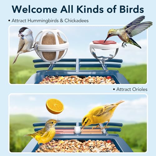 PeckCam® Bird Feeder with Camera Solar Powered 2K Live Video Auto Capture | AI Bird Species Identification, Instant App Alert, IP65 Waterproof, Easy Setup, Backyard Bird-Watching, Gift for Bird Lovers - color: Light Blue