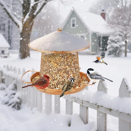 LBTING Bird Feeder, Wild Bird Feeders, Metal Lantern-Shaped | Hanging Outdoor Garden Yard Outside, Bright Gold
