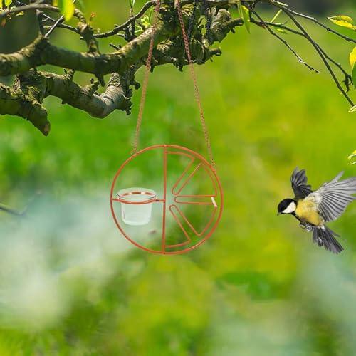 Abaodam 2PCS Glass Oriole Feeder Replacement Cups for Outdoor Bird Feeders | Easy To Clean, For Oriole Jelly Feeders, Outdoor Hanging Feeders, Garden And Balcony Use