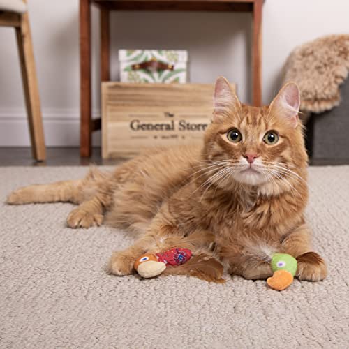 Instincts by SmartyKat 2-Pack HappyNip Love Mates Feather Birds Plush Cat Toys, Contains Catnip & Silvervine - Orange/Green, 2-Pack - style: Love Mates
