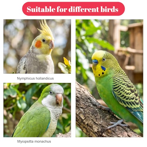 4 PCS Bird Diaper Reusable Parrot Diaper for Parakeet Cockatiel Mini Macaw Budgie Canary Indoor Outdoor (M)