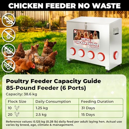 Chicken Feeder 85LB,6-Port Metal Poultry Feeder for Chickens, Poultry Coop | No Waste with Locking Lid&Riveted Handles,Adjustable Height,Large Capacity Rainproof Automatic Chicken Feeders - size: 85lbs