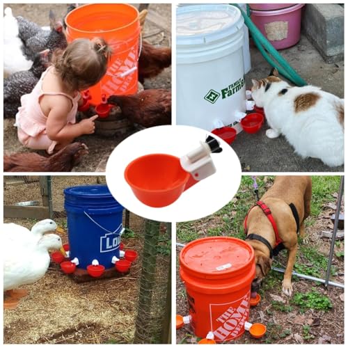 Chicken Waterer Cups, 24 Pack Poultry Water Feeder with Drill, Large Poultry Waterer Automatic Waterer for Chicken Coop, Duck, Chicks, Goose, Turkey, Bunny, Bird (Red, 24 Pack) - size: 24 Pack
