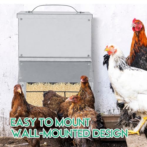 Uiifan 2 Pcs 25 lb Galvanized Chicken Feeder Weatherproof Poultry Metal Food Dispenser with Lid Chicken Duck Food Dispenser Rat Proof Feeder for Poultry Geese Quails Bantams Ducks and Turkey - size: 25 lb