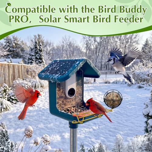Metal Perch Extender & Suet Ball Holder Compatible with Bird Buddy Feeder | Rust-Resistant Outdoor Birds Feeder Accessory, Wider Landing Space, Add On with Screws Included
