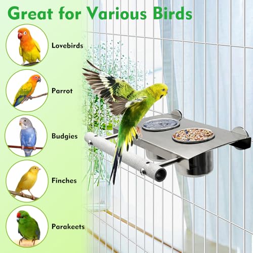 Tfwadmx Bird Parrot Feeding Cups, Small Bird Feeding Dish Cups Stainless Steel Birds Bowls Food Water Bowls with Food Holder for Cockatiel Parakeet Budgies Finches Lovebirds