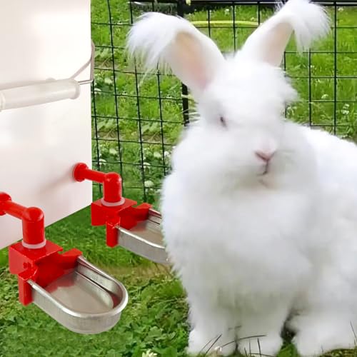 Metal Rabbit Chicken Water Cup Chicken Kettle DIY Rabbit Chicken Small Hamster Guinea Pig (Black, 6) - color: black, size: 6