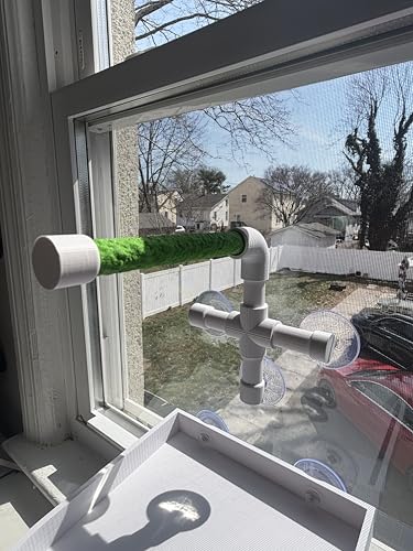 CleanPerch™ Window Bird Perch with Suction Cups. Grooming & Outside Viewing Perch for Parrots, Conures & Small Birds. Window-Mounted Bird Stand (White/Green, 6") - color: Green, size: 6"
