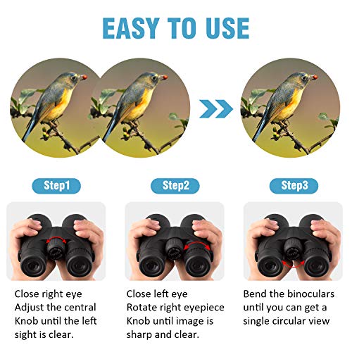 10x42 Binoculars for Adults - Professional HD Roof BAK4 Prism Lens Binoculars for Bird Watching, Hunting, Travel, Sports, Cruise, with Carrying Bag (1.1Lbs) - style: New Model