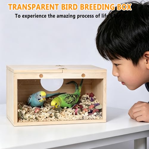 kathson Parakeet Nesting Box,Transparent Parrots Breeding Mating Boxes Nest House,Bird Cage Nesting Box for Cockatiel,Budgie,Lovebirds,Conure,Finch,Canary,M - size: M: 9.8*4.7*4.9 inches