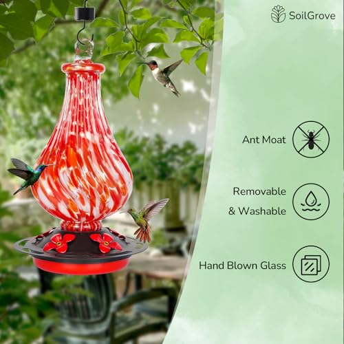 Glass Hummingbird Feeder,24oz Red Hand Blown Humming Bird Feeders for Outdoors Hanging with 5 Feeding Ports & Ant Moat, for Women Men,Hanging Garden Decor