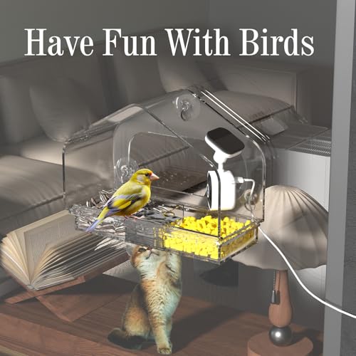 Window Bird Feeder with Strong Suction Cups and Smart Bird Camera | 2K Clear Vision, AI Bird Recognition Tech, Real-Time Alerts, Easy to Use, Detachable Tray, 2.4G Connectivity USB Powered - color: White