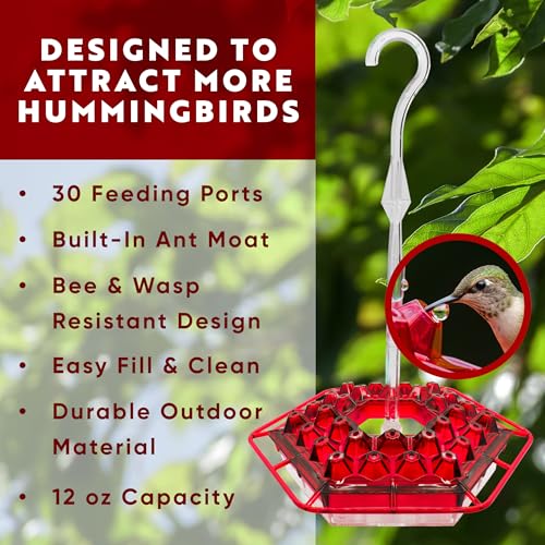Lil Sweety Hummingbird Feeder for Outdoors Hanging, 12 oz Leak-Proof Nectar Feeder, 30 Feeding Ports, Built-in Ant Moat & Bee Guard, Easy Fill & Clean, Durable USA Made Bird Feeder for Patio Garden - color: Red