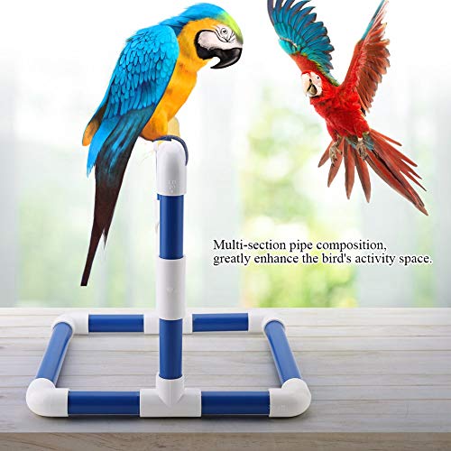 Training Stand Pet Bird Table Perch Stands PVC Bird Standing Bird Shower Bath Stand Rack Standing Gym Training Grinding Toy Playstand Holder(Scrub) - color: Scrub
