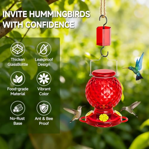 Hummingbird Feeder Glass 20 OZ 2-Pack Round Ant&Bee Proof Feeders | Red Glass Hummingbird Feeders for Outdoors Hanging with 4 Feeding Ports, Rustproof Leakproof Base, Garden Yard Décor Gifts