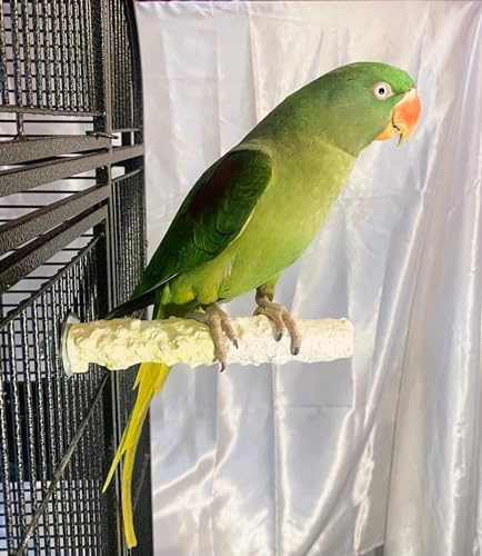 Polly's Edible Cuttlebone Calcium Bird Cage Perch for Budgies, Parakeets, Amazons, Blue & Golds, Macaws and Cockatoos.… (Pineapple, Medium) - color: Pineapple, size: Medium