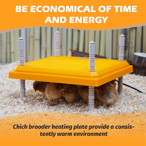 Brooder Plate for Chicks, 10" x 10" Chick Heating Plate Whit Adjustable Heights