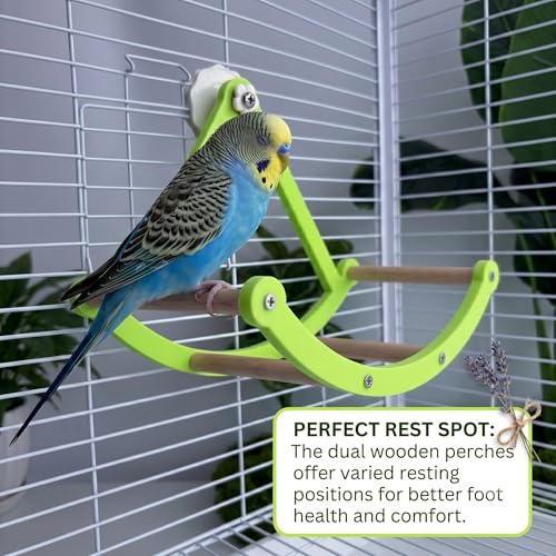 Bird Perch Toy, Interactive Rocking Parakeet Swing and Perch Combo, Wooden Exercise Wheel Bird Cage Accessories, Intelligence Puzzle Toy for Parrot, Budgies, Cockatiel, Conure, Lovebirds