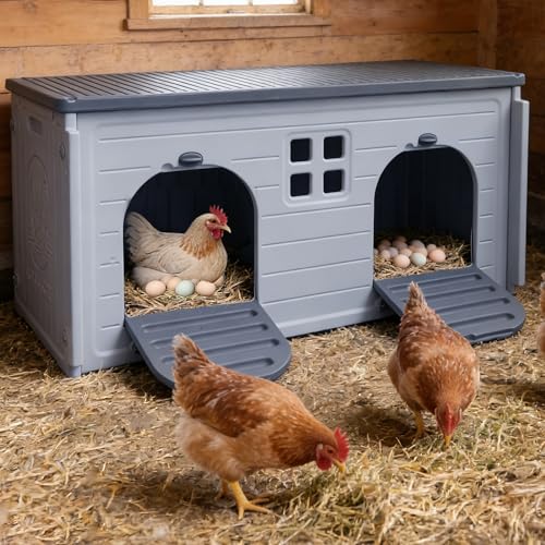 Nesting Boxes for Chickens, Plastic Chicken Nesting Box with Door Or Ramp | Waterproof 2 Compartment Chicken Nesting Box for Laying Eggs for Hens, Ducks and Poultry, Clean and Assemble Easily - color: Grey, size: 41.0"L x 20.8"W x 20.3"H