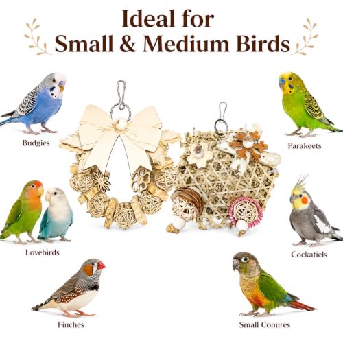 2PCS Natural Bird Toy,Chew Toys for Parakeets,Cockatiels,Conures,Love Birds,and Other Small to Medium Birds - style: Style 1