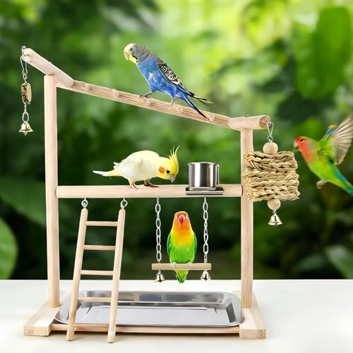 Small Bird Playground Stand, Natural Wood Parrot Stand Playground with Removable Tray, Feeder Cups, Ladder, Swing & Chew Toys for Cockatiel, Conure, Parakeet
