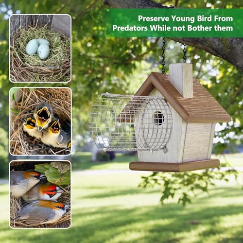 Tryly 2Pcs Bluebird House Protector Guards, Stainless Bird House Entrance,Designed for the Secure of Eastern Bluebird Homes and Their Chicks (Round) - style: Round