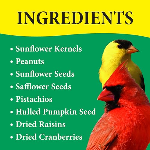 Wild Delight 366200 20-Pound Nut N-Berry Birdfood, 20 lb - size: 20 Pound (Pack of 1), style: Nut N' Berry-20lb