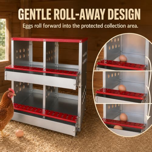 4-Compartment Roll Away Chicken Nesting Box for Hens, 21 Inch | Metal build, Egg collection tray, Perch, Protective lid, Wall mount, Freestanding setup, Ducks, Backyard coop, Barn supply - size: 16.3"L x 16.9"W x 24.4"H