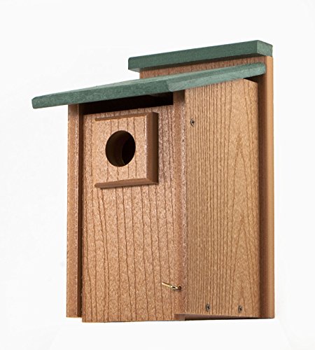 Going Green Bluebird House