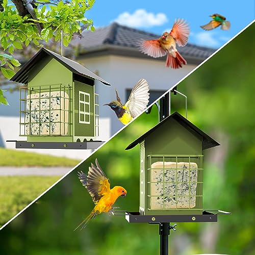 FlowaFoli Bird Feeders for Outdoors Hanging, Metal Bird Feeder with Double Suet Cage Cake, Large Capacity, Birdfeeders Sturdy & Weatherproof, Easy to Clean & Refill, Great for Attracting Wild Birds - color: Green