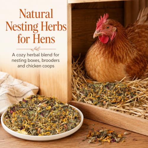 MAQIHAN 30oz Chicken Nesting Herbs - Natural Dried Poultry Coop Bedding | Poultry Habitat Supplies for Laying Hens Chicks, Coop Refresher, Roosting Bars, Box Pads, Vacuum Packed Winter Bedding - size: 1.88 Pound (Pack of 1)