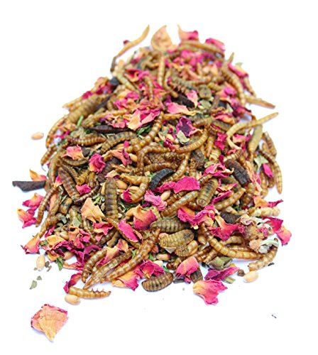 Pampered Chicken Mama Mealworm and Herb Treat for Backyard Chickens, Healthy Backyard Chicken Feed and Supplies, BEE A Beautiful Hen 16 Pounds - size: 16 Pound (Pack of 1)
