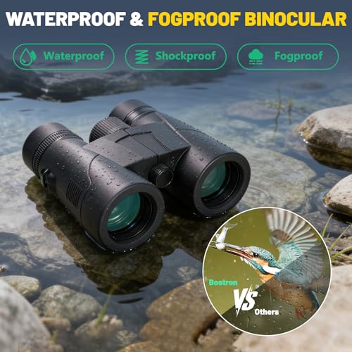 8x32 Binoculars for Adults High Powered with Phone Adapter | Large View Binoculars with Clear Low Light Vision BAK4 Prism FMC Lens Compact Binocular for Bird Watching Cruise Travel