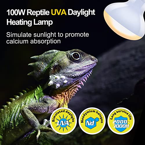 REPTI ZOO 100W Reptile Heat Lamp Bulbs Combo, Upgraded 2 Pack Day & Night Basking Spot Light, UVA Daylight Heating Lamp & Infrared Heat Lamp for Reptiles & Amphibians - style: Style 2