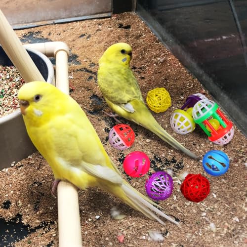 POPETPOP Bird Ball Toy - 12Pcs Plastic Pet Toy for Parakeet, Parrot, Finch Foraging & Preening - Colorful Training Bell Balls