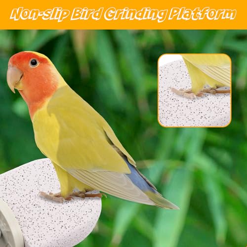 8 PCS Bird Perch Stands, Calcium Perch Beak Grinding Stone Foot Claws Trimmer Platform Chewing Toys for Small Medium Parrot Cockatiel Conure Lovebird Finch, 2.56x2.76 Inch