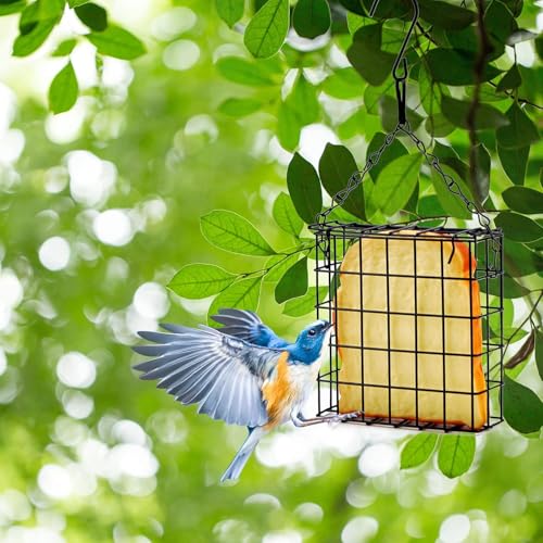 Suet Feeder for Outdoor Garden Yard Patio Hanging Metal Suet Cake Holder Squirrel Proof Weatherproof Bird Parrot Feeders Single Suet Cage for Wild Birds Woodpecker Hummingbird - style: Without Roof Top